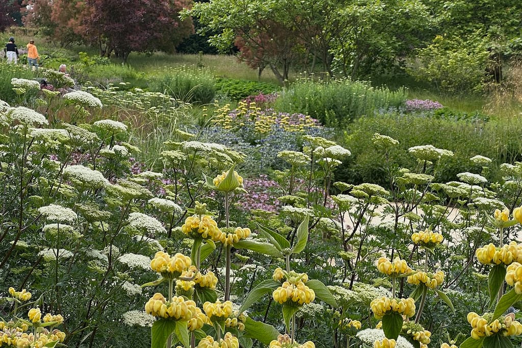 "Oudolf Landscape" im RHS Garden Wisley