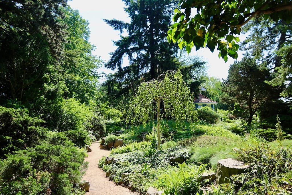 Karl Foerster Garten