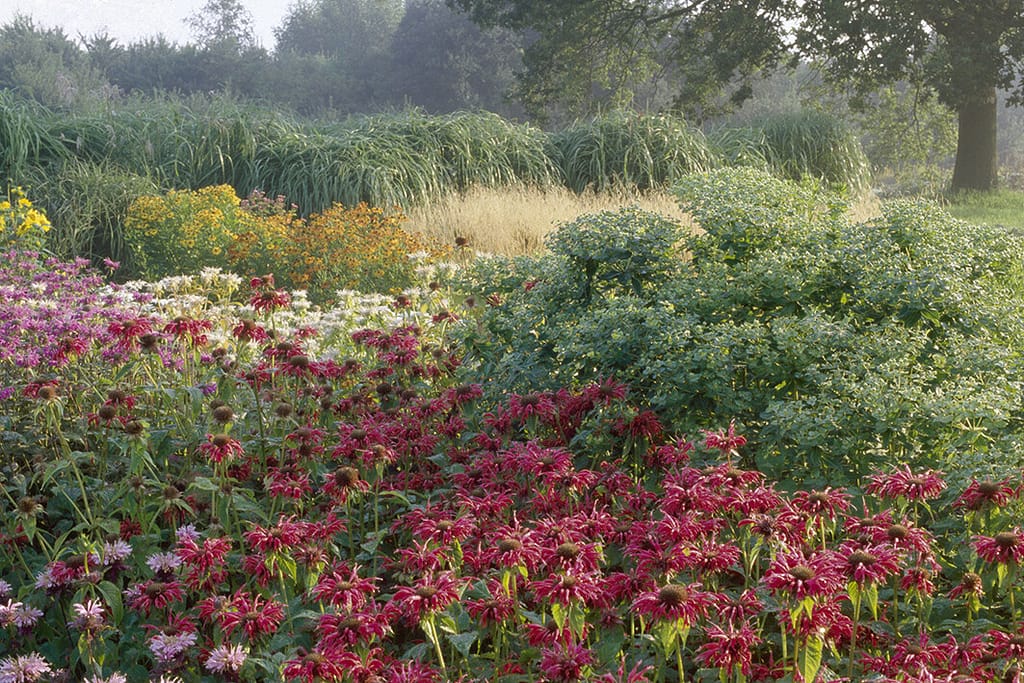 Der Pagels-Garten in Leer © Marion Nickig