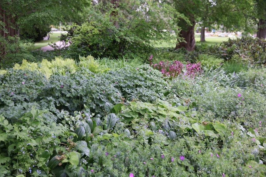 Schattenbeete im Luisenpark, Mannheim