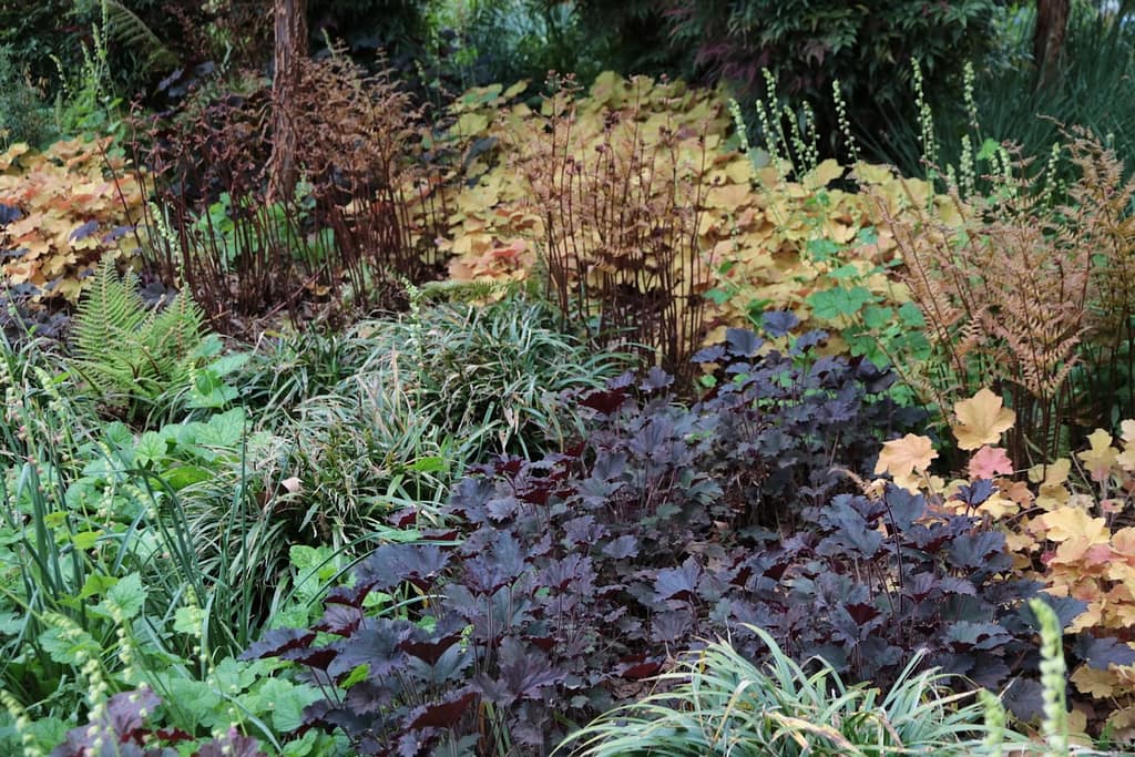Schattenbeete im Luisenpark, Mannheim