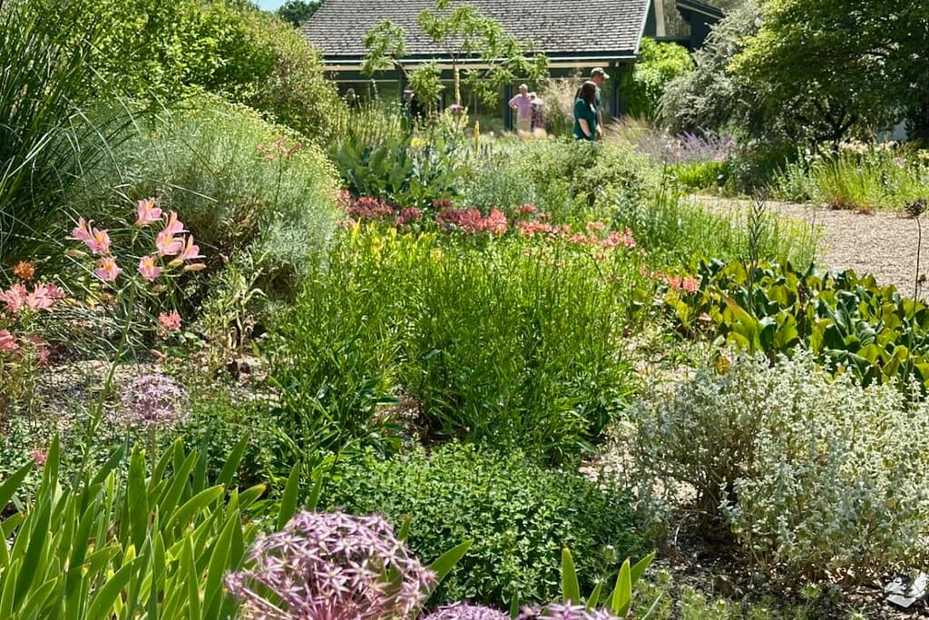 Gravel Garden | Kiesgarten