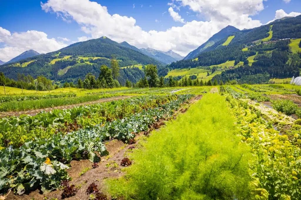 Garten am Berg, Ing. Michael Windberger, Pichl bei Schladming