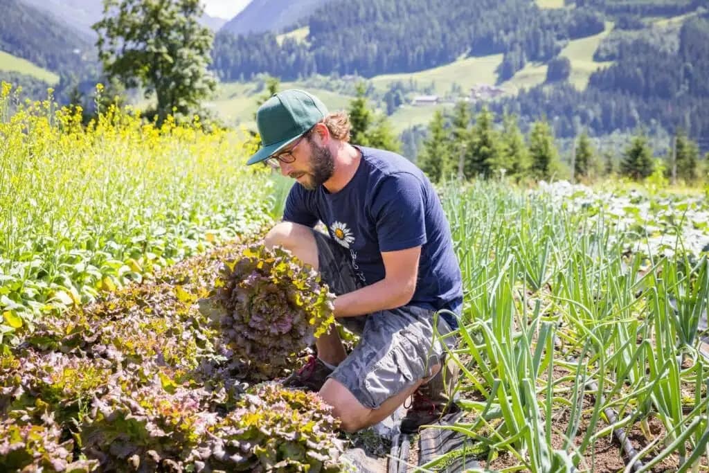 Garten am Berg, Ing. Michael Windberger, Pichl bei Schladming