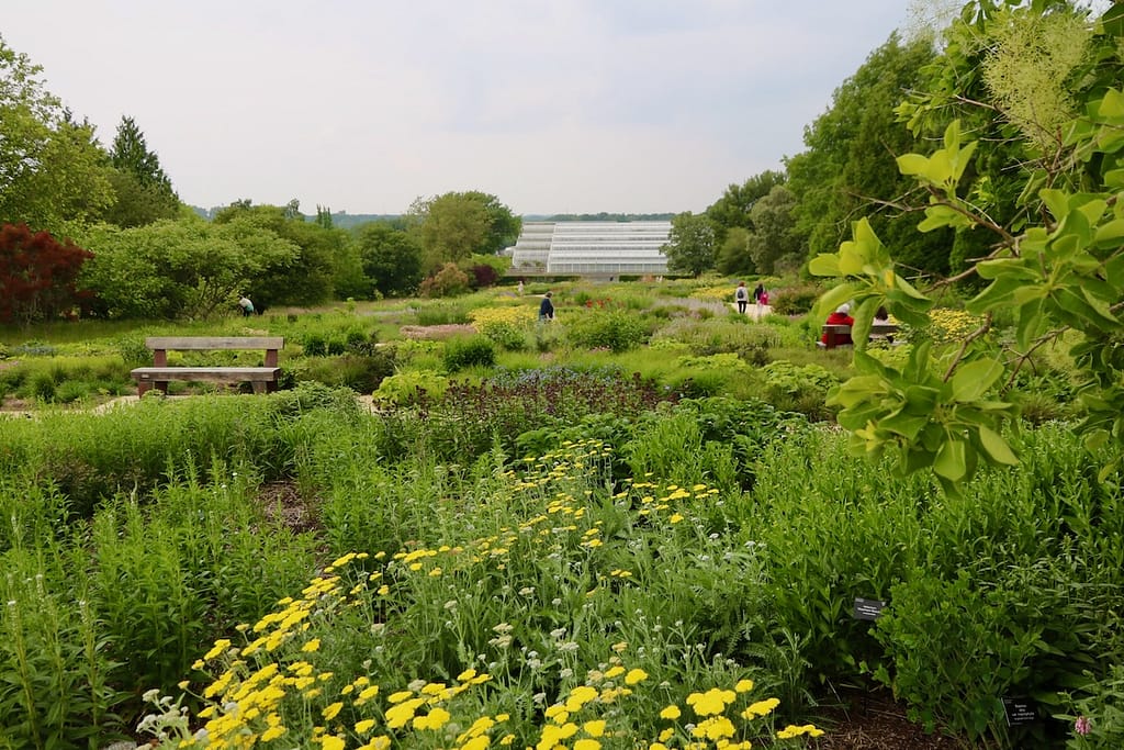 "Oudolf Landscape" des RHS Garden in Wisley, Surrey