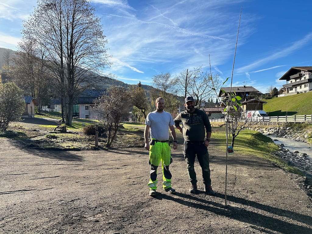 Mitarbeiter des Wagrainer Bauhofs pflanzten den Kirschbaum