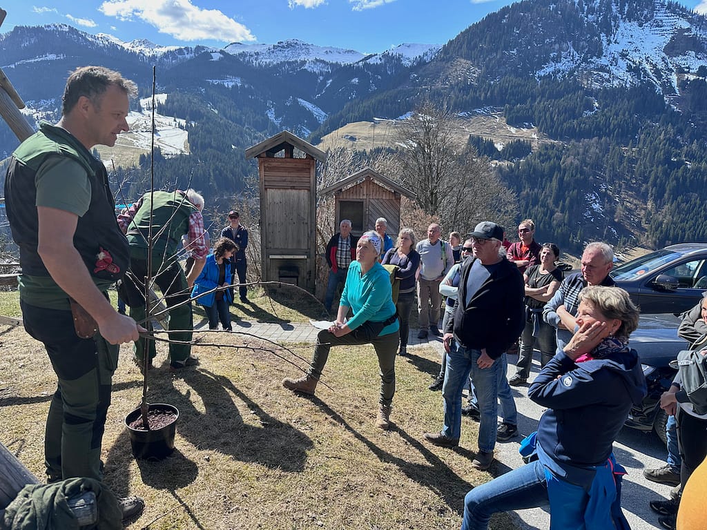 Bartholomäus Mairhofer erklärt den Teilnehmern den Pflanzschnitt.