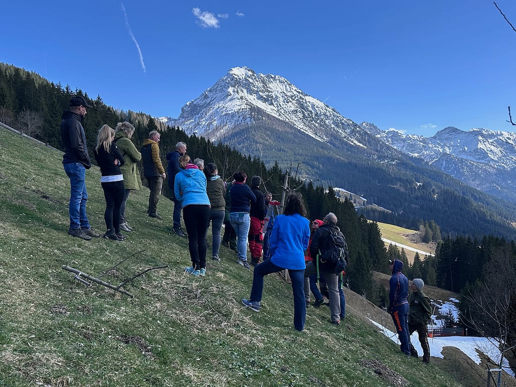 Baumschnittkurs März 2025