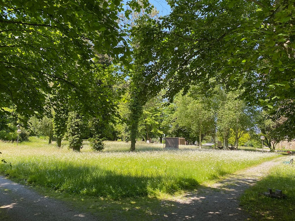Blumenwiese im Kurpark