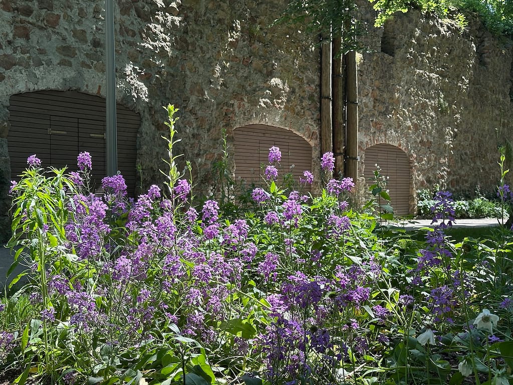 Schattengarten im Schlosspark