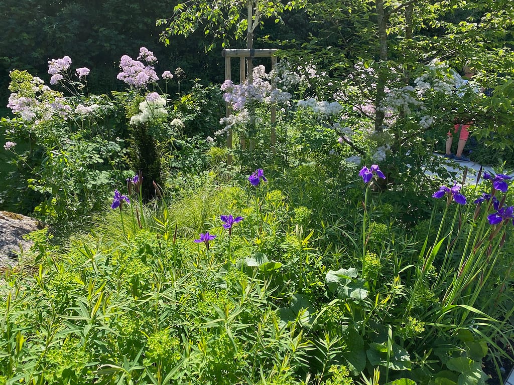 Staudenimpressionen