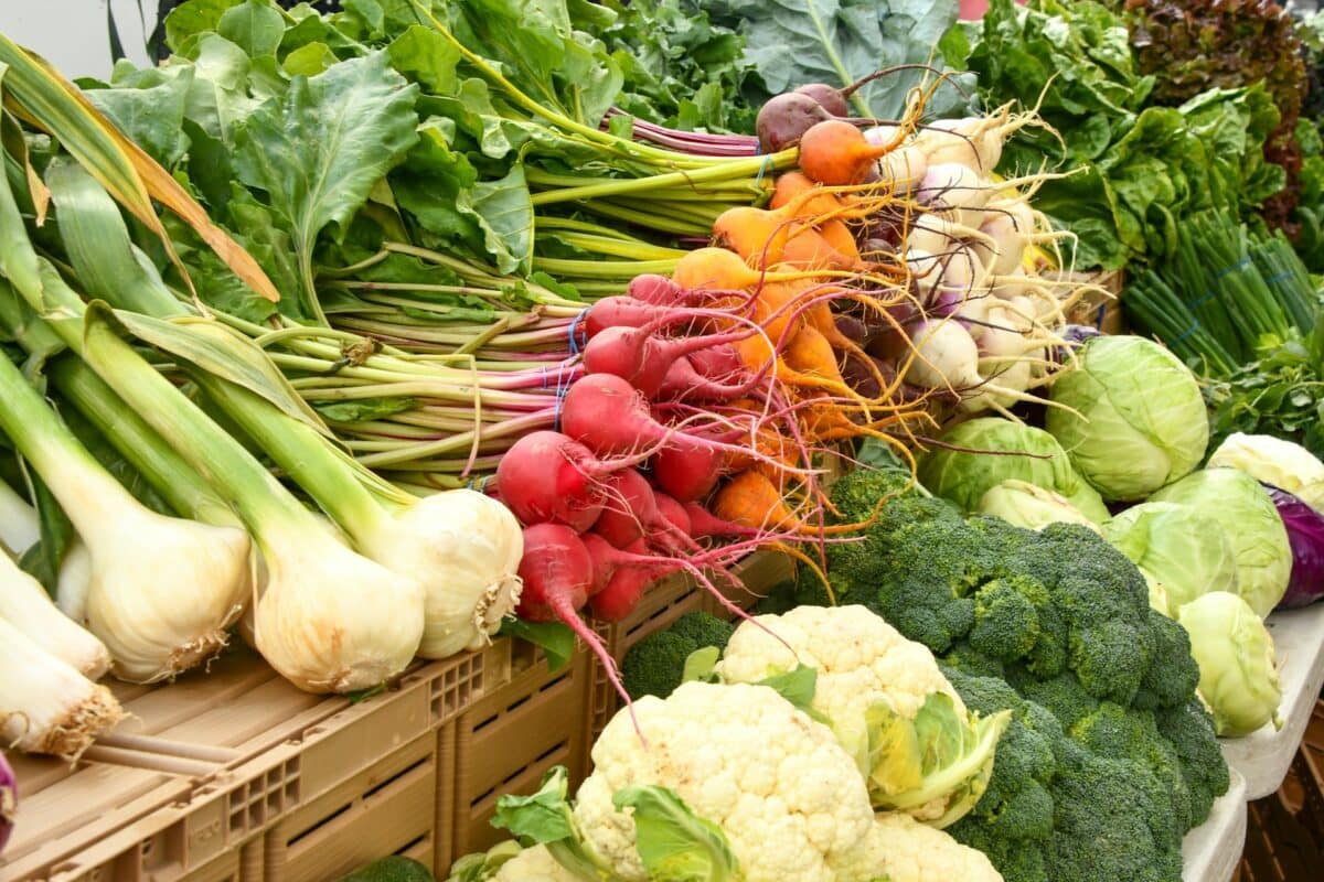 Shelley Pauls auf Unsplash