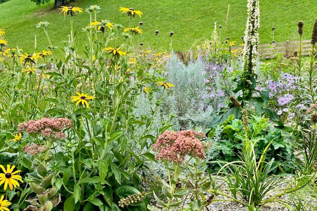 Staudenbeet im Herbst