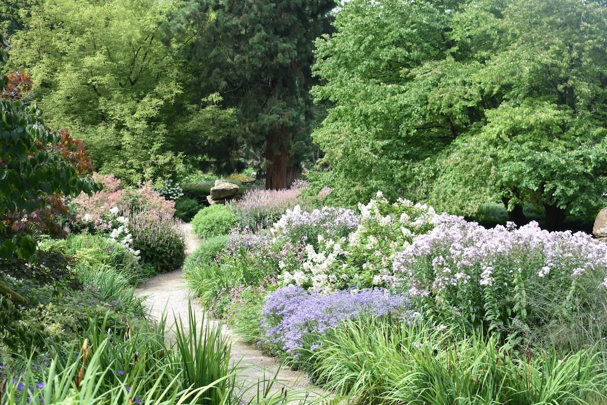 Garten von Martina Jorden auf unsplash