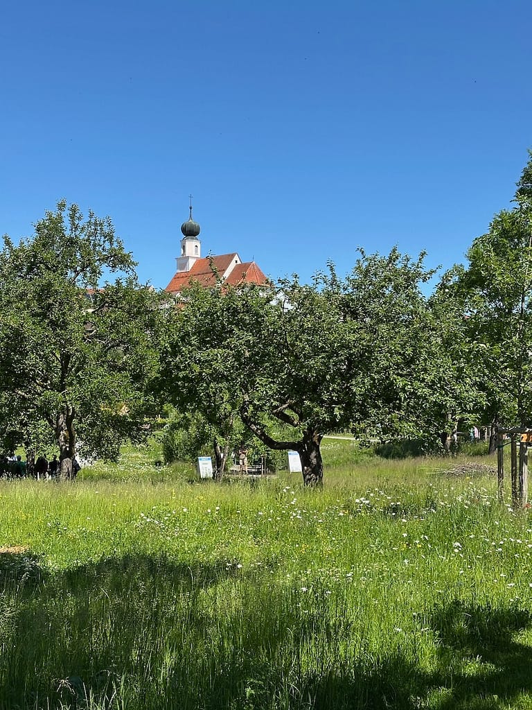 Streuobstwiese im Orangeriepark