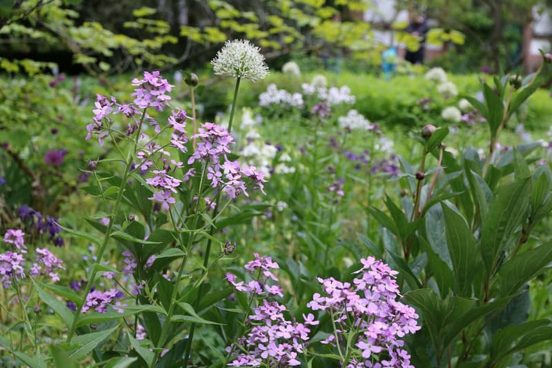 Schöne Vegetationsbilder in allen Gartenbereichen