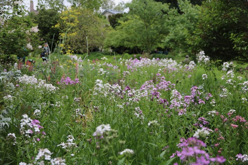 Schöne Vegetationsbilder im Schau- und Sichtungsgarten Hermannshof