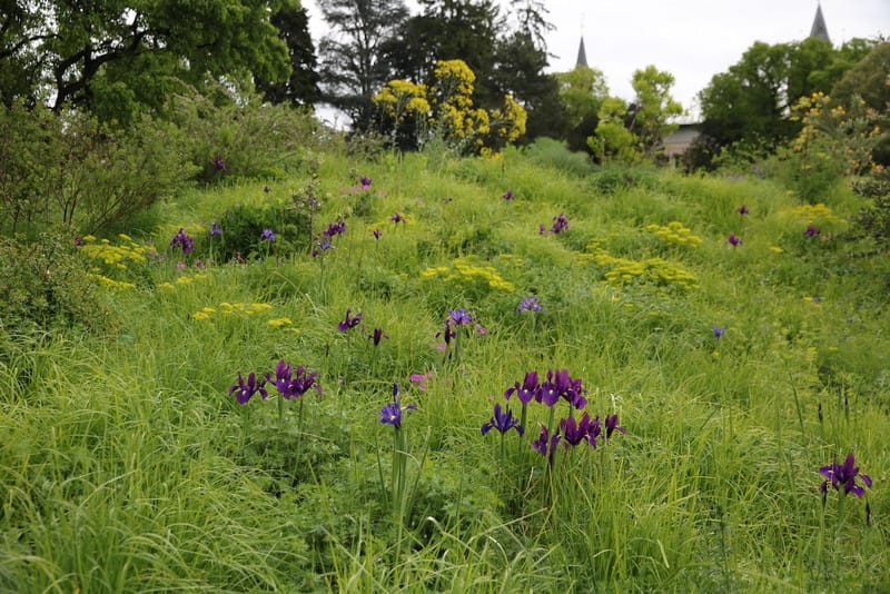 Schöne Vegetationsbilder im Schau- und Sichtungsgarten Hermannshof