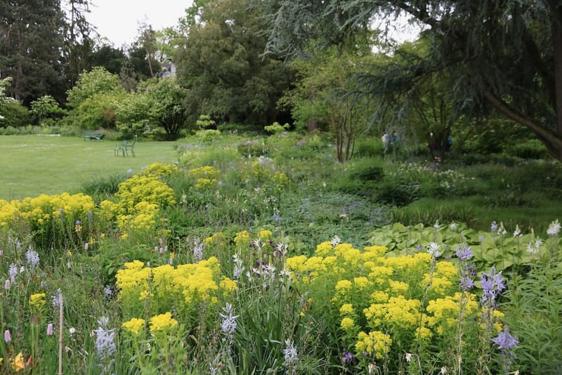 Im Schau- und Sichtungsgarten Hermannshof kann man sich in weitläufigen Staudenwiesen verlieren.