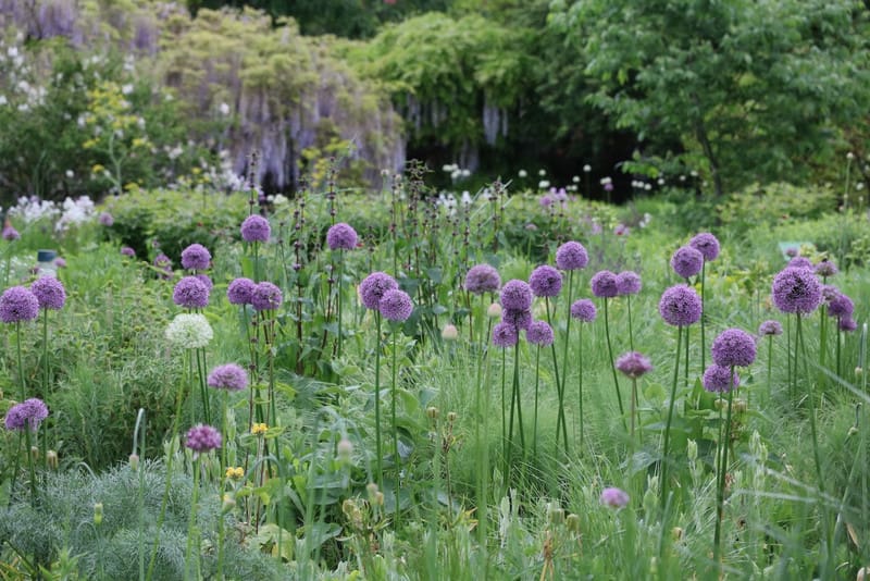 Der Schau- und Sichtungsgarten Hermannshof ist zu jeder Jahreszeit einen Besuch wert.