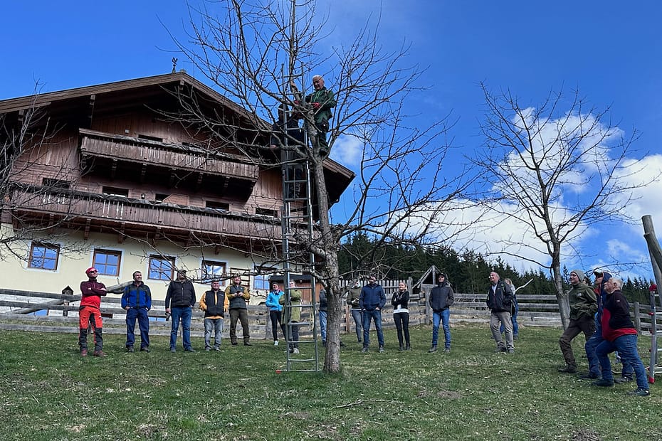 Baumschnittkurs am Mönchsberghof der Familie Schaidreiter in Kleinarl