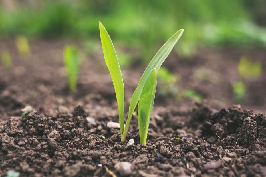 Foto von Roman Synkevych auf Unsplash