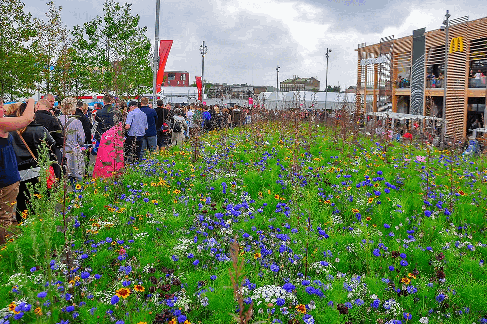 Olympic Park Gold Meadows