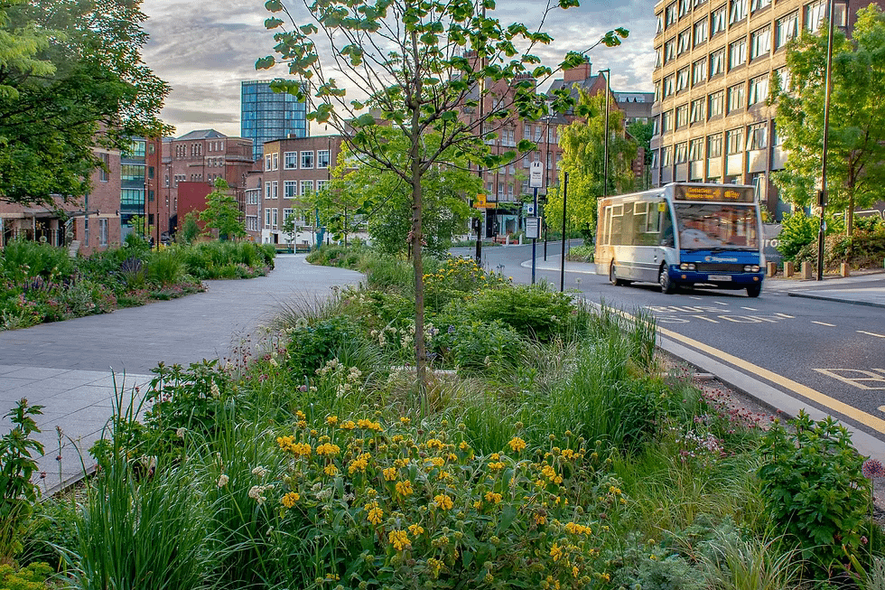 Grey to Green, Sheffield UK